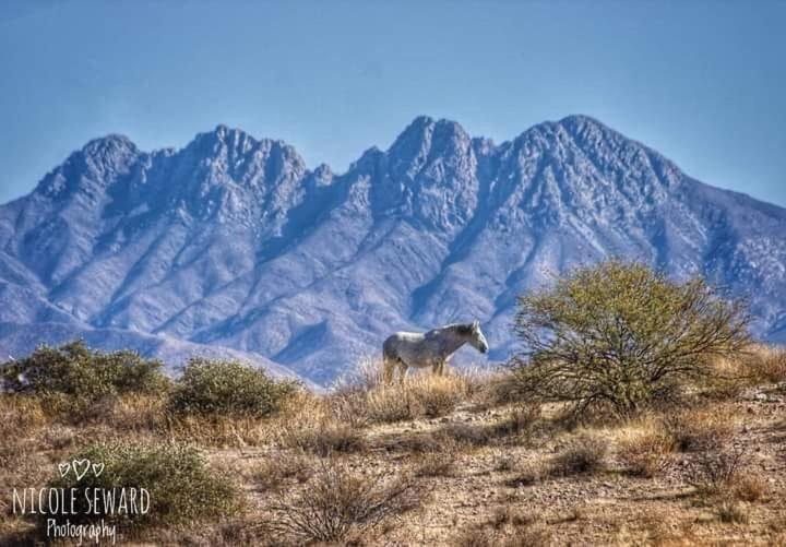 Rio Rancho Two Bedroom Appartement