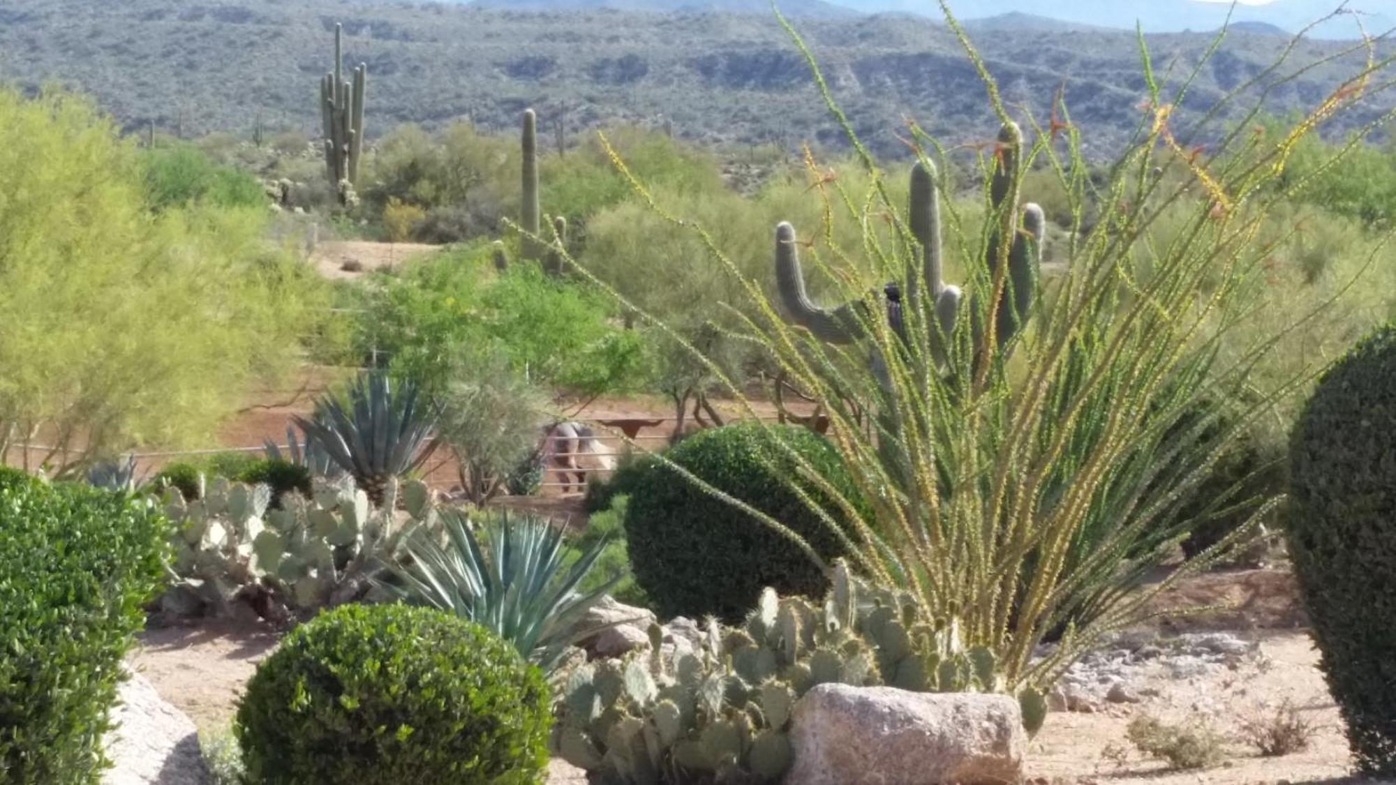 Appartement Rio Rancho Two Bedroom Scottsdale